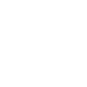 Young Web Design Brand